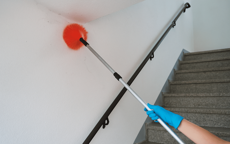 Treppenreinigung-Beseitigung-von-Spinnweben-Gütersloh