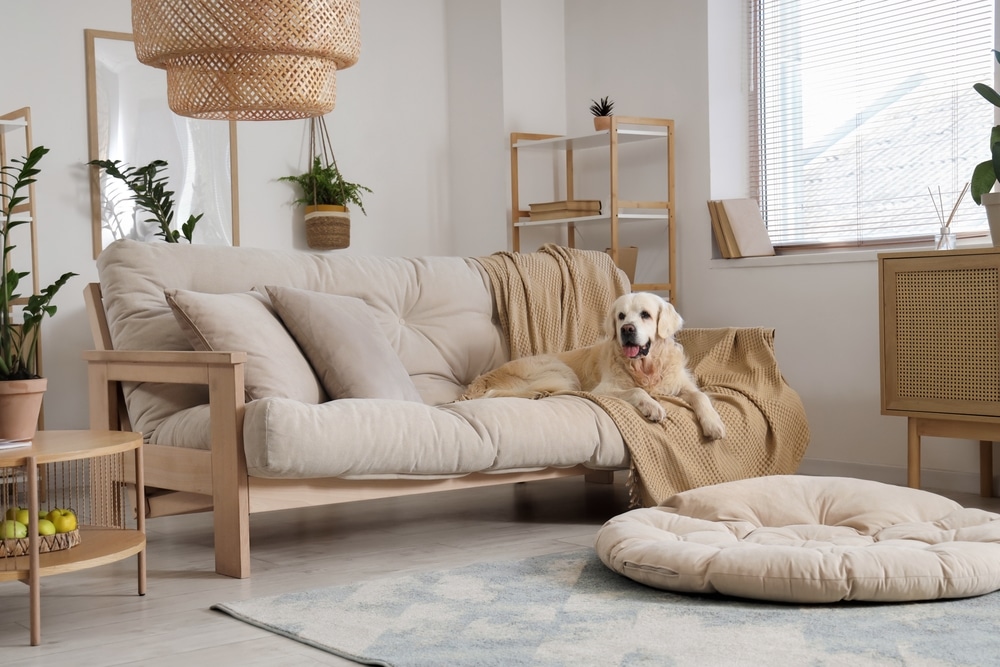 Regelmäßige Haushaltsreinigung in Oerlinghausen für eine 90 m² Wohnung mit Hund